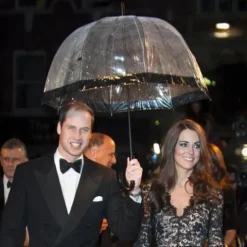 Parasolka damska przeźroczysta Fulton Birdcage-2 Falling Daisies L042 (7S3387)